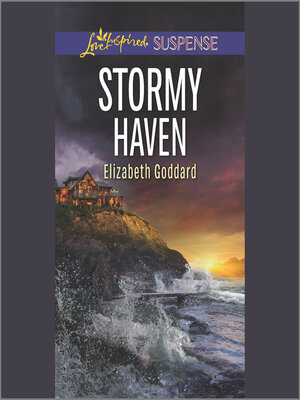 cover image of Stormy Haven